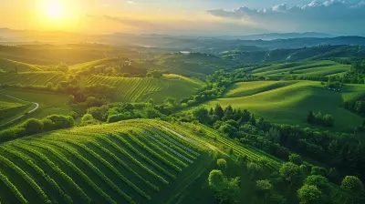 Off Grid Living The Best Renewable Energy Gadgets For Remote Areas