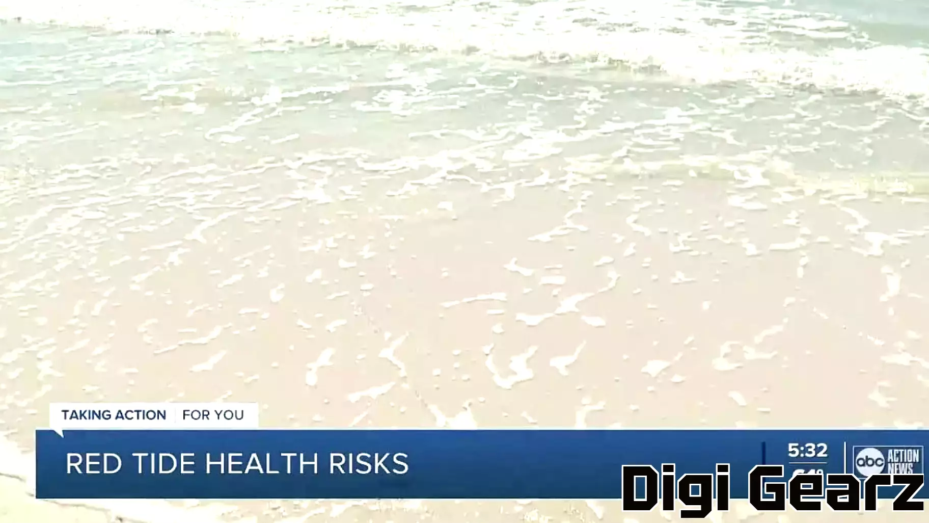 Innovative Solutions to Combat Red Tide Blooms