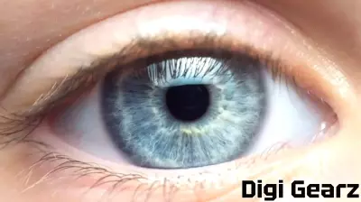 Novel artificial intelligence technology improves eye disease diagnosis